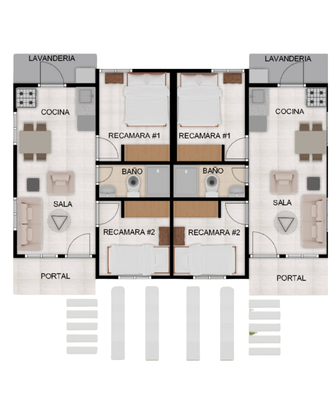 PLANTA TULIPAN PLANTA TULIPAN